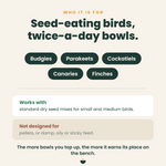 Who it is for: budgies, parakeets, cockatiels, canaries and finches. Works with standard dry seed mixes; not designed for pellets or damp, oily or sticky feed.