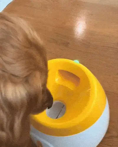 Automatisk Bollkastare - Bild 3