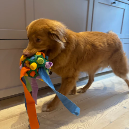 Interaktiv Godisboll för Hundar - Bild 3