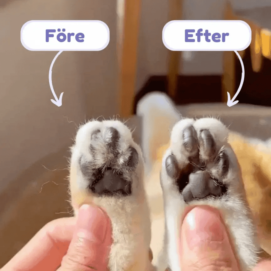 PawTrim Pro - Bild 3