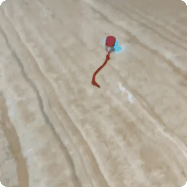 Självstartande Interaktiv Kattleksak - Bild 7