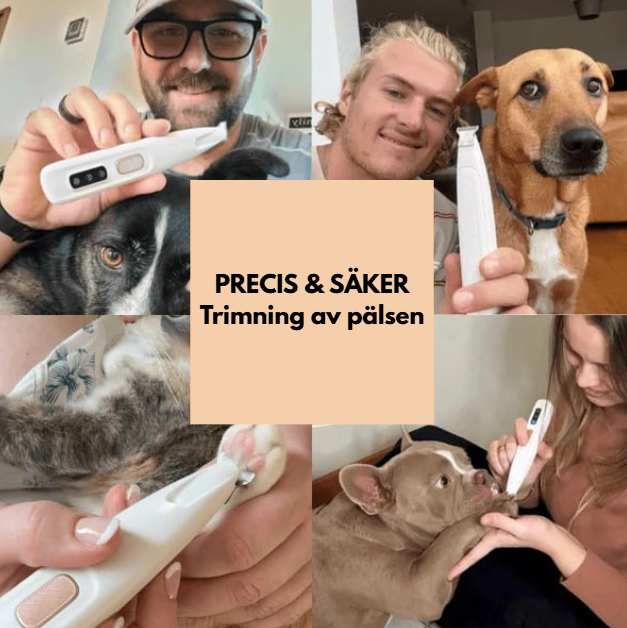 PawTrim Pro - Bild 2