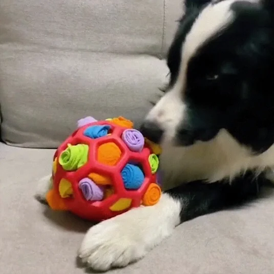 Interaktiv Godisboll för Hundar - Bild 14