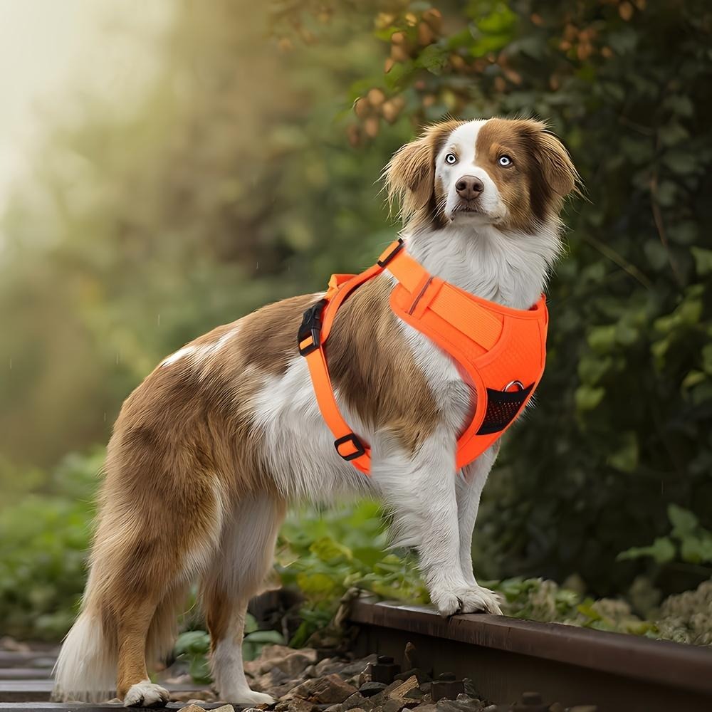 Reflekterande, Justerbar & Säker Sele för Medelstora & Stora Hundar