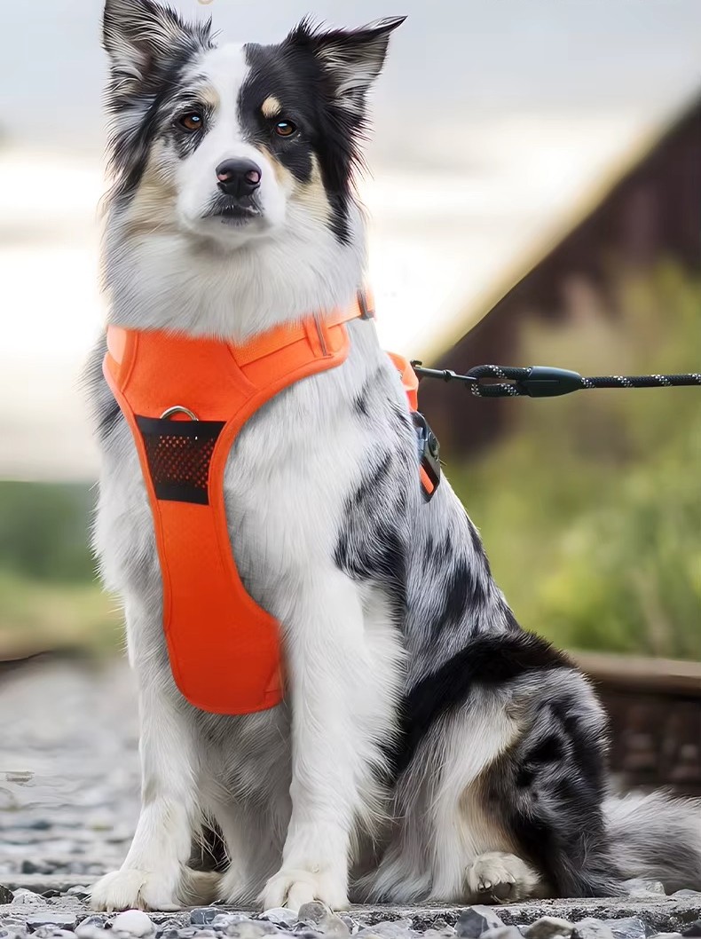 Reflekterande, Justerbar & Säker Sele för Medelstora & Stora Hundar - Bild 3